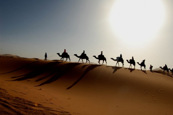 Camel_Caravan
