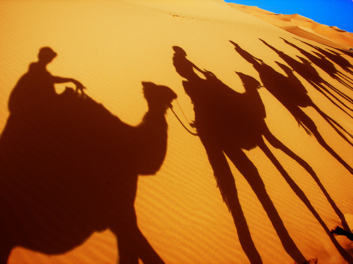 Camel Caravan shadow by causalien / Creative Commons