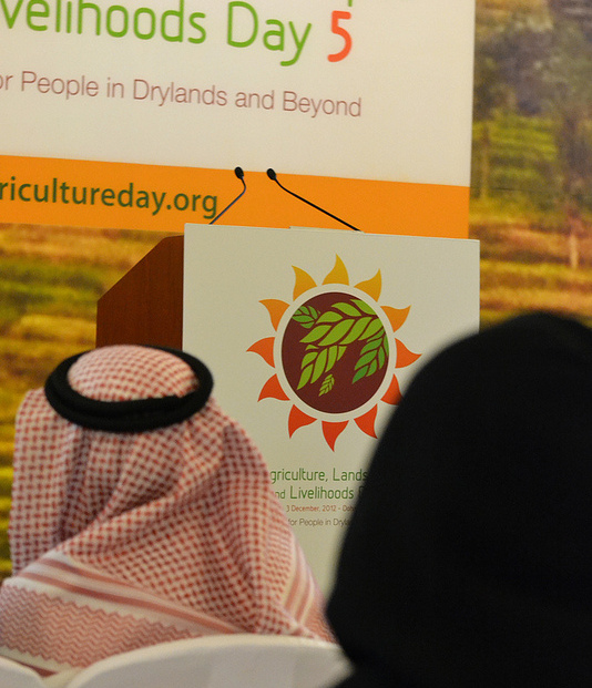 ALL5 day in Doha by CGIAR Climate / Creative Commons