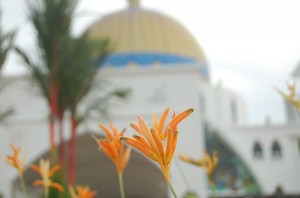Mosque Flowers by Syahid Ali / Creative Commons