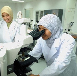 Muslim scientists / Source: rohama.org