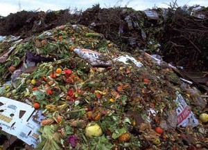 Food waste / Source: cflounge.blogspot.com