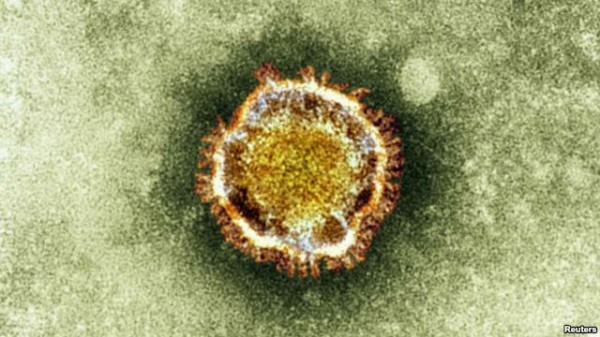 Saudi Arabia Reports 13 Cases of Coronavirus