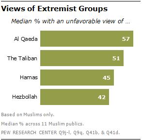 Muslim Publics Share Concerns about Extremist Groups