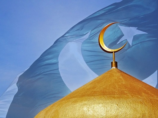 https://muslimvillage.com/wp-content/uploads/2013/09/cresent-flag.jpg