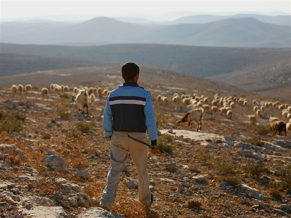 Israeli settlements in Hebron hills threaten age-old Palestinian livelihoods