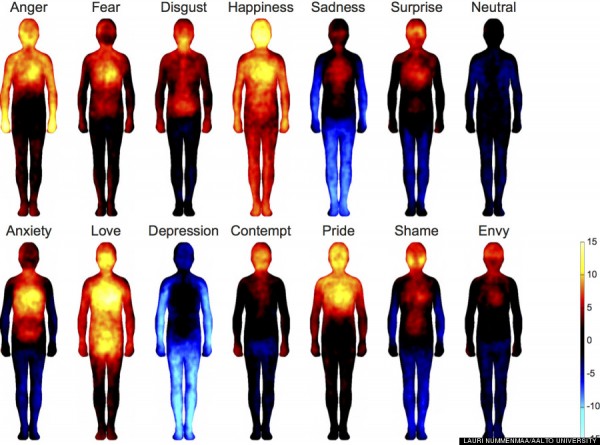 Where Your Body 'Feels' Emotions Revealed In New Study