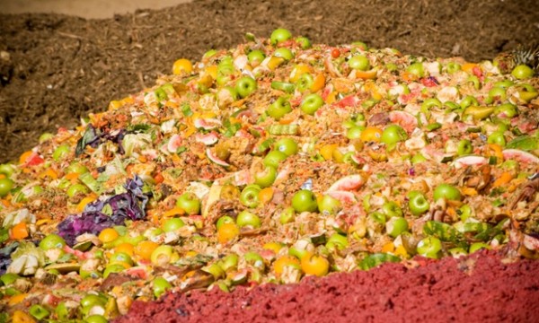 Food Wastage and its Implication on Human Suffering