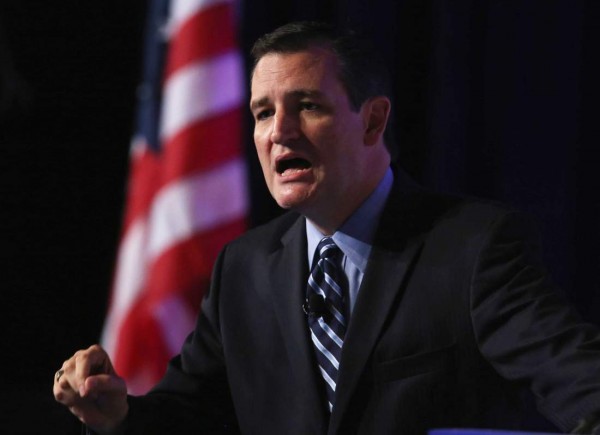 Sen. Ted Cruz of Texas  (Photo by Mark Wilson/Getty Images)