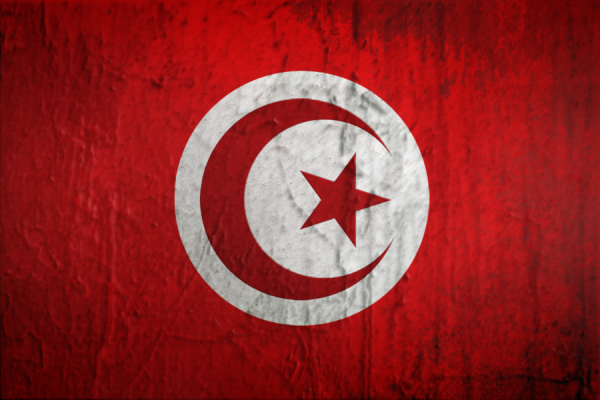 tunisia_flag_by_fareseleil