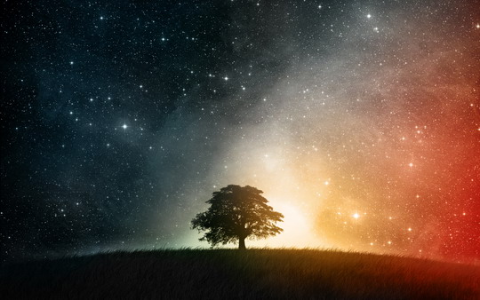 tree-the-cosmos