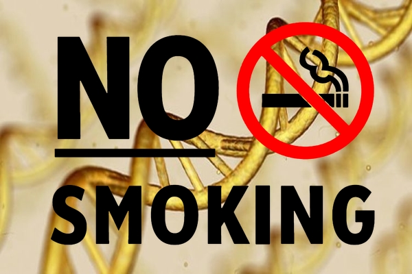 no-smoke-gene